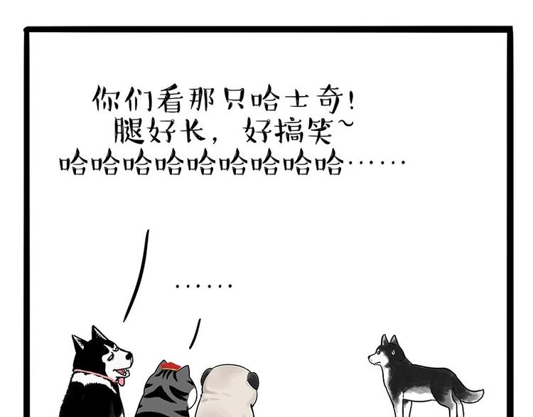 《吾皇巴扎黑》漫画最新章节第187话 巴扎黑终究是错付了免费下拉式在线观看章节第【37】张图片