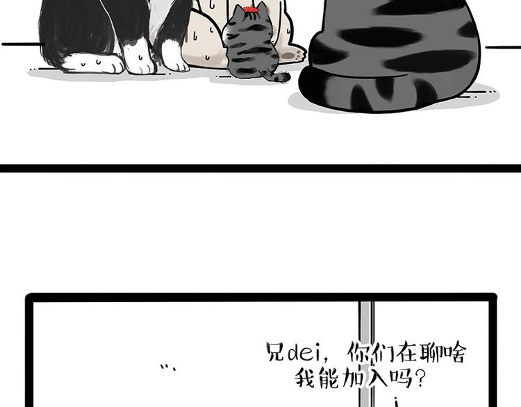 《吾皇巴扎黑》漫画最新章节第188话 收破烂也不收你礼物免费下拉式在线观看章节第【36】张图片