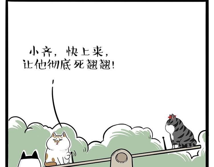 《吾皇巴扎黑》漫画最新章节第189话 就你胖，还能浪免费下拉式在线观看章节第【20】张图片