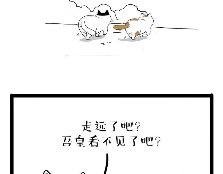 《吾皇巴扎黑》漫画最新章节第189话 就你胖，还能浪免费下拉式在线观看章节第【43】张图片