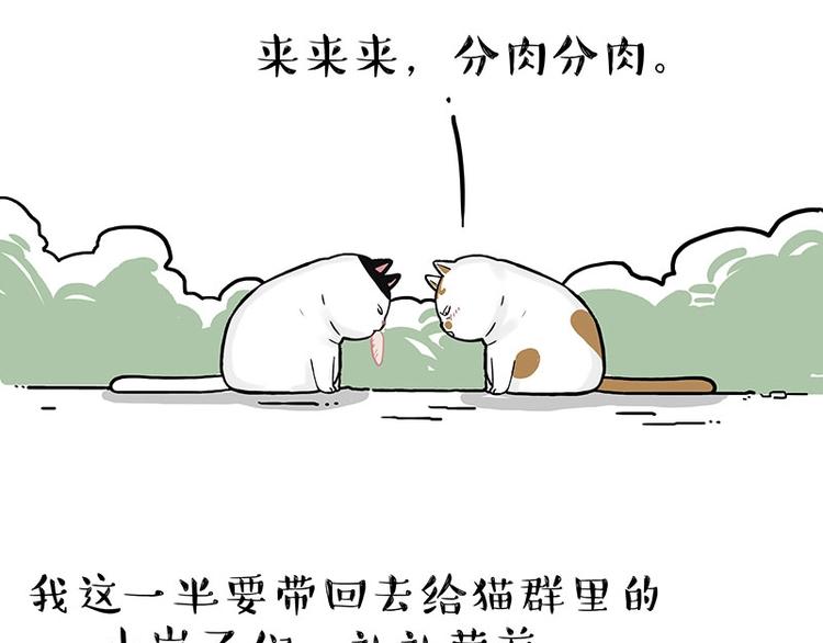 《吾皇巴扎黑》漫画最新章节第189话 就你胖，还能浪免费下拉式在线观看章节第【45】张图片