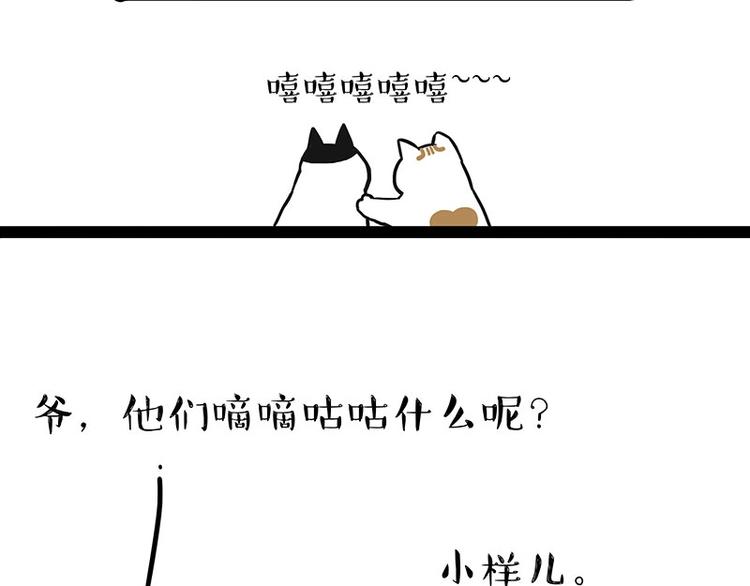 《吾皇巴扎黑》漫画最新章节第189话 就你胖，还能浪免费下拉式在线观看章节第【48】张图片