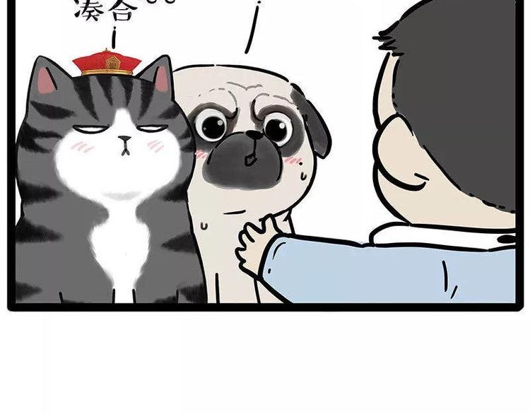 《吾皇巴扎黑》漫画最新章节第191话 猫猫无证看孩子？！免费下拉式在线观看章节第【24】张图片