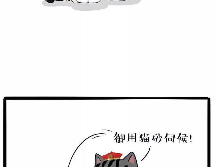 《吾皇巴扎黑》漫画最新章节第191话 猫猫无证看孩子？！免费下拉式在线观看章节第【33】张图片