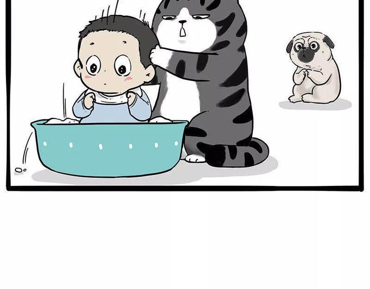 《吾皇巴扎黑》漫画最新章节第191话 猫猫无证看孩子？！免费下拉式在线观看章节第【34】张图片