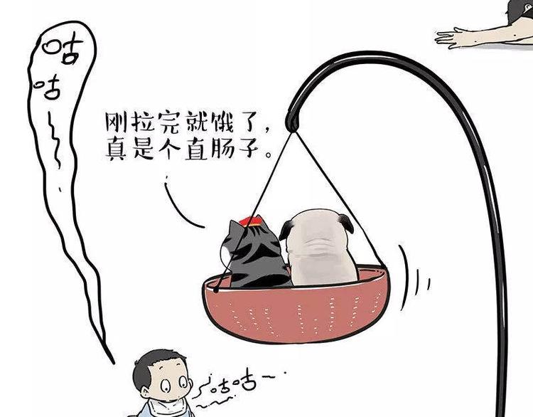 《吾皇巴扎黑》漫画最新章节第191话 猫猫无证看孩子？！免费下拉式在线观看章节第【47】张图片