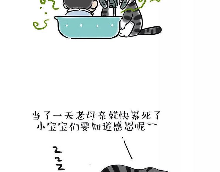 《吾皇巴扎黑》漫画最新章节第191话 猫猫无证看孩子？！免费下拉式在线观看章节第【60】张图片