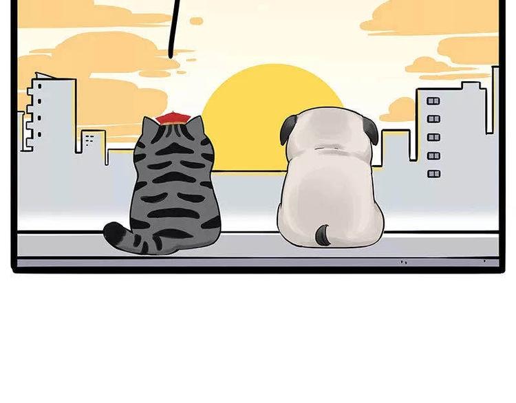 《吾皇巴扎黑》漫画最新章节第191话 猫猫无证看孩子？！免费下拉式在线观看章节第【76】张图片