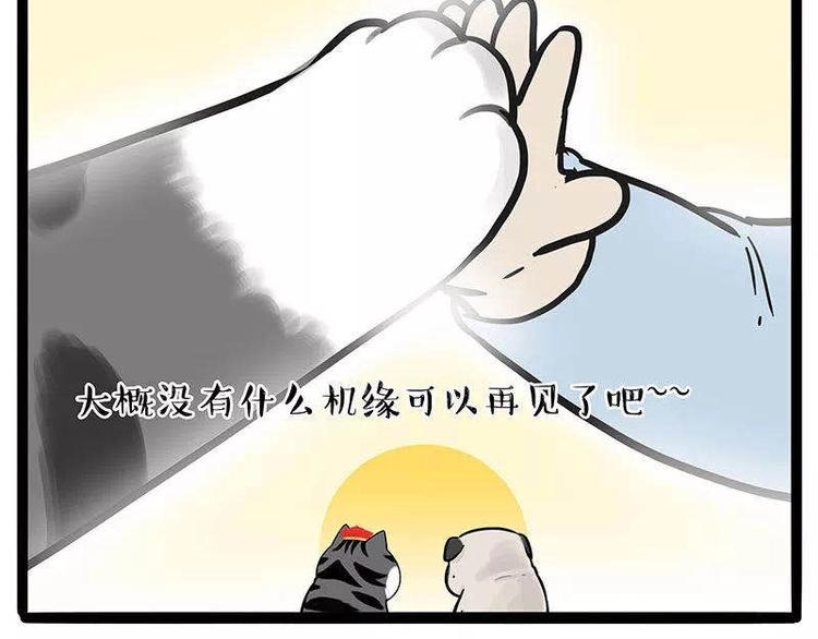 《吾皇巴扎黑》漫画最新章节第191话 猫猫无证看孩子？！免费下拉式在线观看章节第【79】张图片