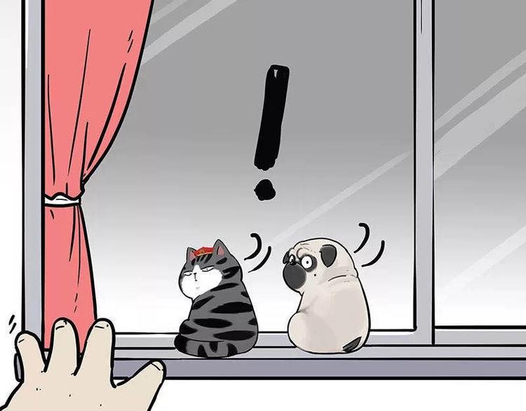 《吾皇巴扎黑》漫画最新章节第191话 猫猫无证看孩子？！免费下拉式在线观看章节第【81】张图片