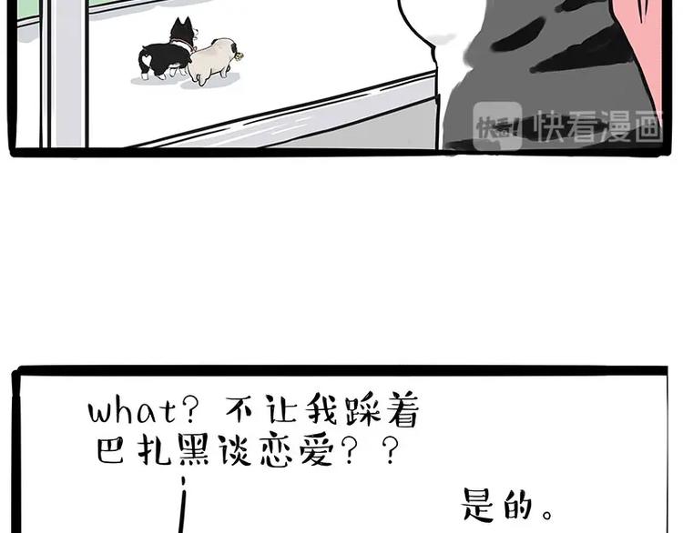 《吾皇巴扎黑》漫画最新章节第192话 大型爱情翻车现场免费下拉式在线观看章节第【18】张图片