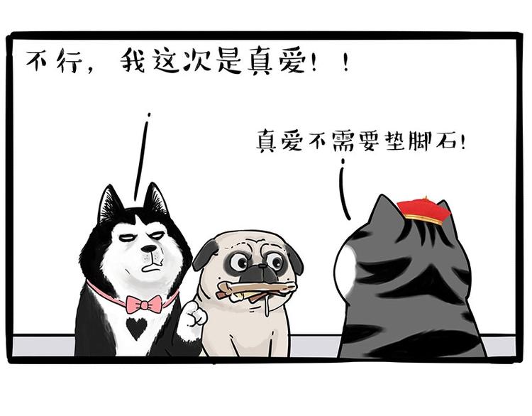 《吾皇巴扎黑》漫画最新章节第192话 大型爱情翻车现场免费下拉式在线观看章节第【20】张图片