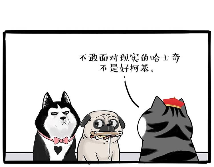 《吾皇巴扎黑》漫画最新章节第192话 大型爱情翻车现场免费下拉式在线观看章节第【21】张图片