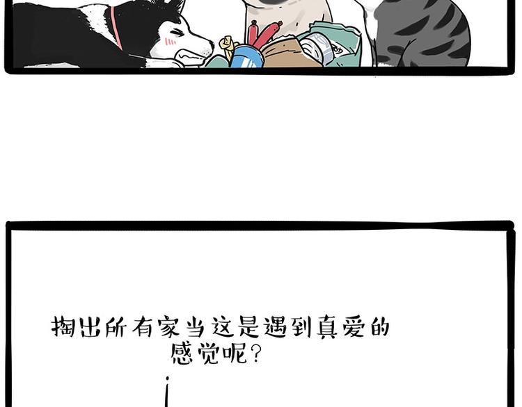 《吾皇巴扎黑》漫画最新章节第192话 大型爱情翻车现场免费下拉式在线观看章节第【36】张图片