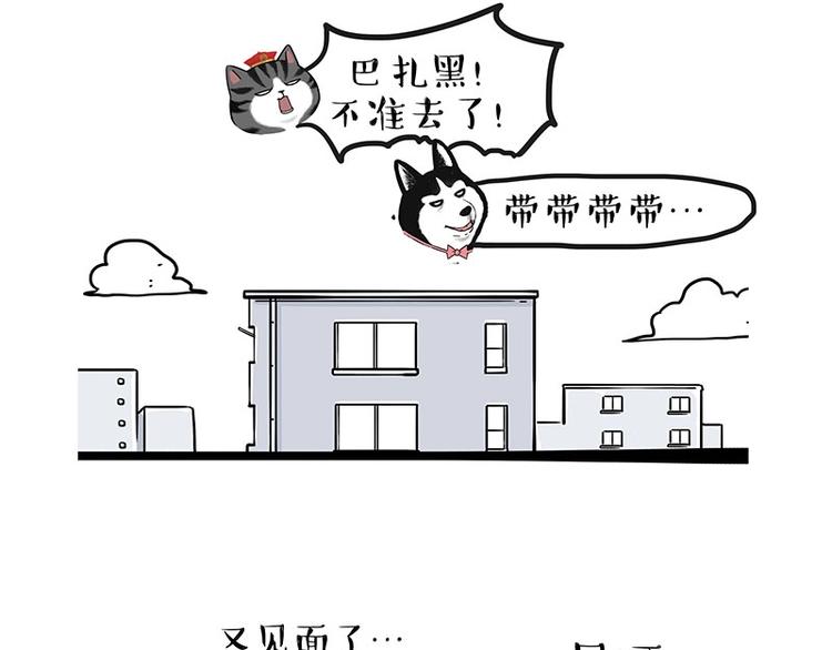 《吾皇巴扎黑》漫画最新章节第192话 大型爱情翻车现场免费下拉式在线观看章节第【38】张图片