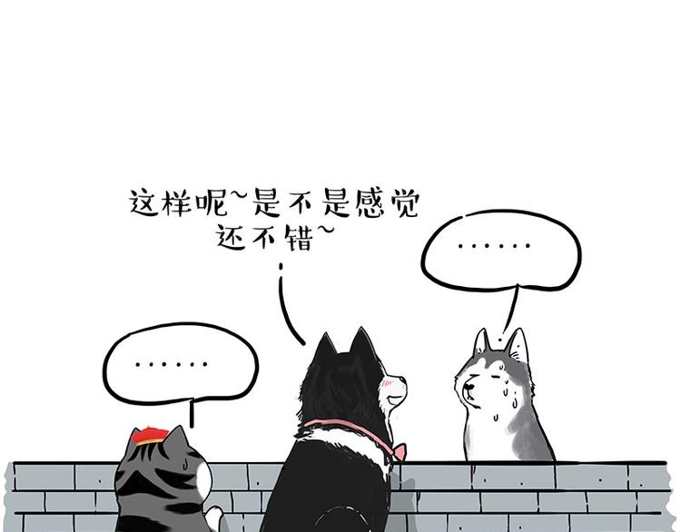 《吾皇巴扎黑》漫画最新章节第192话 大型爱情翻车现场免费下拉式在线观看章节第【43】张图片