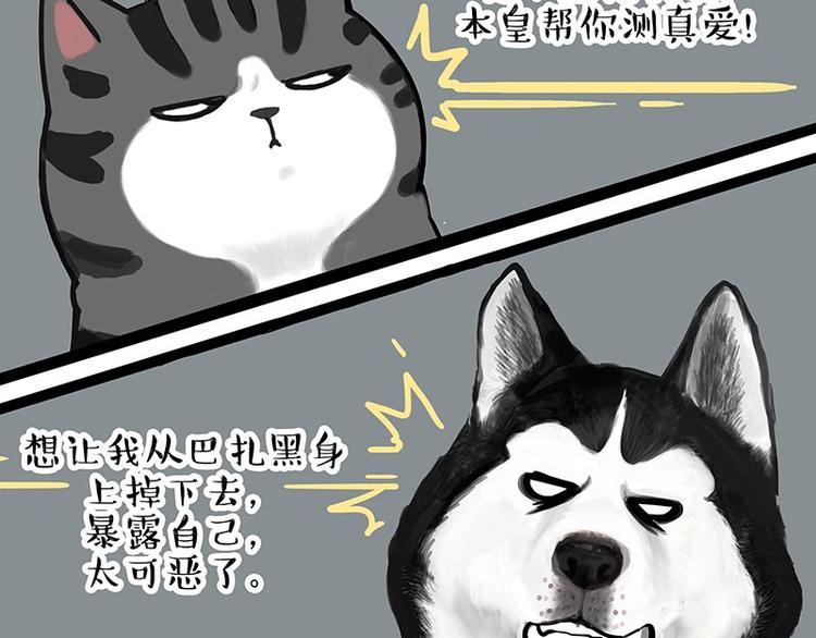 《吾皇巴扎黑》漫画最新章节第192话 大型爱情翻车现场免费下拉式在线观看章节第【51】张图片