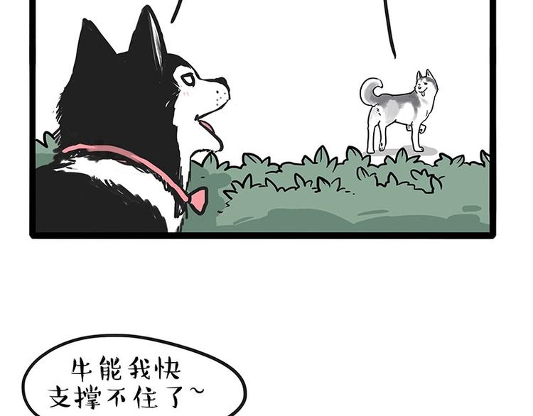 《吾皇巴扎黑》漫画最新章节第192话 大型爱情翻车现场免费下拉式在线观看章节第【6】张图片