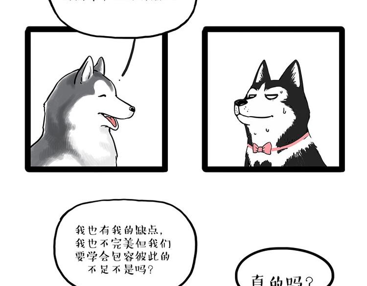 《吾皇巴扎黑》漫画最新章节第192话 大型爱情翻车现场免费下拉式在线观看章节第【61】张图片