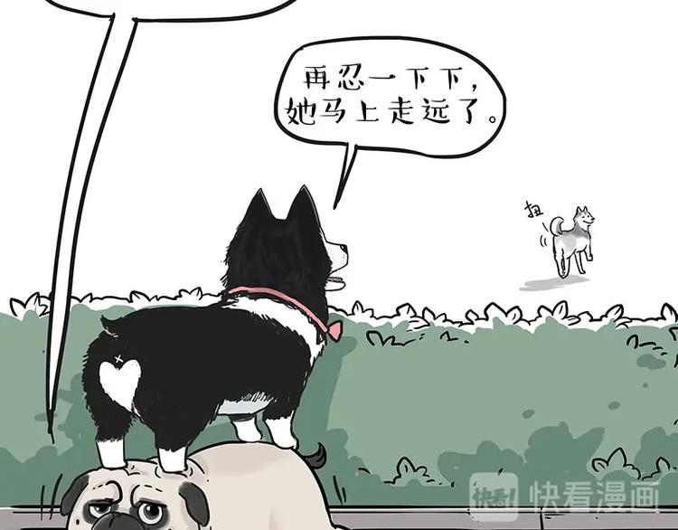 《吾皇巴扎黑》漫画最新章节第192话 大型爱情翻车现场免费下拉式在线观看章节第【7】张图片