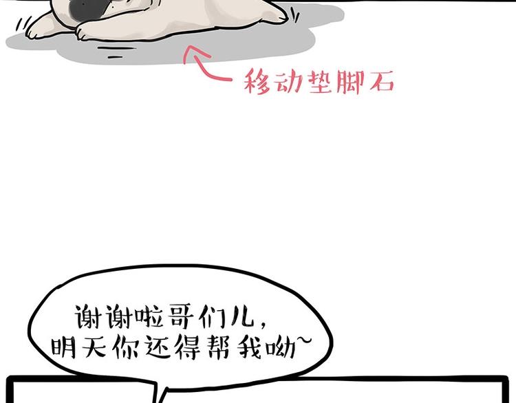 《吾皇巴扎黑》漫画最新章节第192话 大型爱情翻车现场免费下拉式在线观看章节第【8】张图片