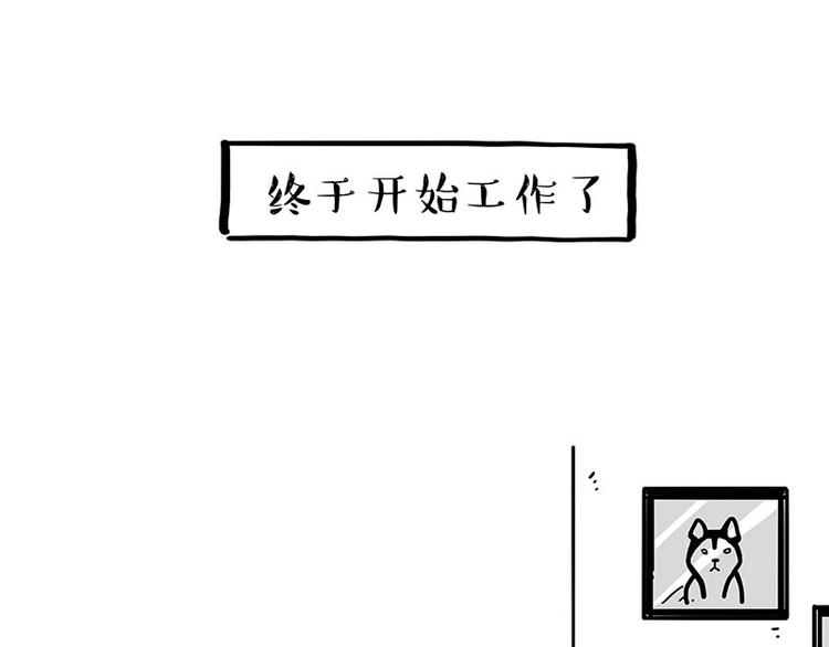 《吾皇巴扎黑》漫画最新章节第194话 生活不易，猫狗打工免费下拉式在线观看章节第【20】张图片