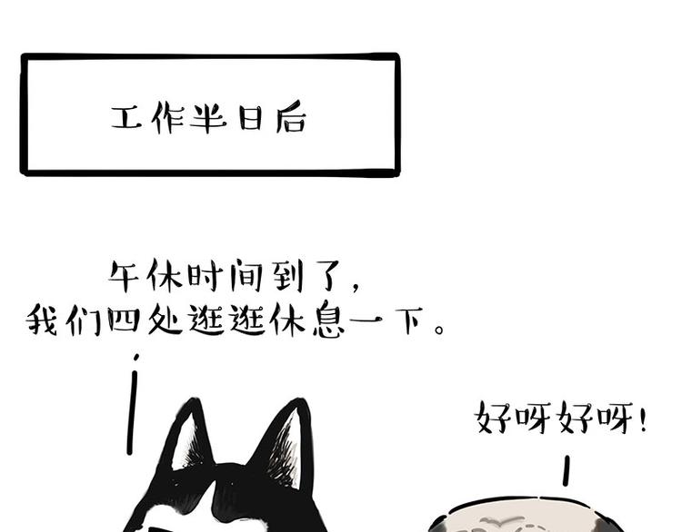 《吾皇巴扎黑》漫画最新章节第194话 生活不易，猫狗打工免费下拉式在线观看章节第【29】张图片