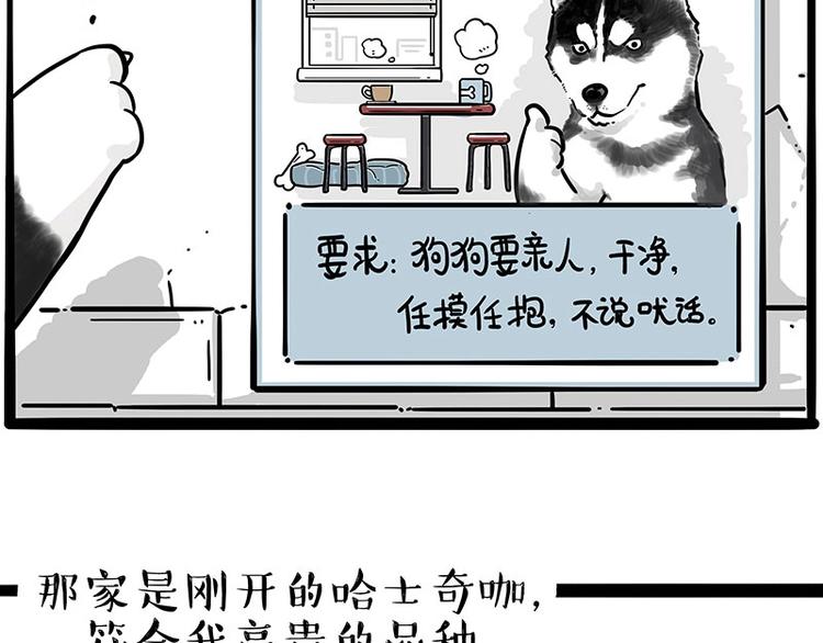 《吾皇巴扎黑》漫画最新章节第194话 生活不易，猫狗打工免费下拉式在线观看章节第【3】张图片