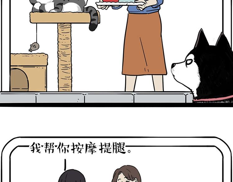 《吾皇巴扎黑》漫画最新章节第194话 生活不易，猫狗打工免费下拉式在线观看章节第【36】张图片