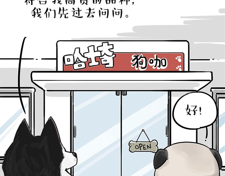 《吾皇巴扎黑》漫画最新章节第194话 生活不易，猫狗打工免费下拉式在线观看章节第【4】张图片