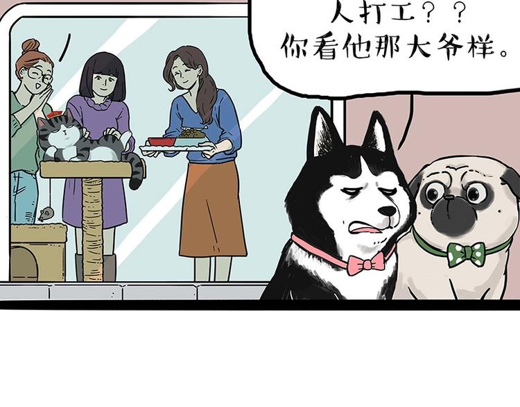 《吾皇巴扎黑》漫画最新章节第194话 生活不易，猫狗打工免费下拉式在线观看章节第【40】张图片