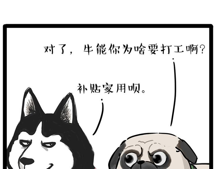 《吾皇巴扎黑》漫画最新章节第194话 生活不易，猫狗打工免费下拉式在线观看章节第【44】张图片