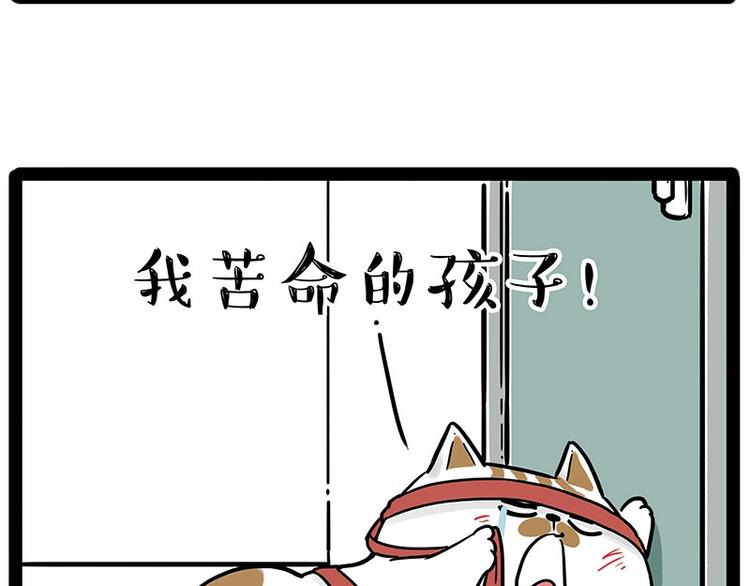 《吾皇巴扎黑》漫画最新章节第195话 人类，尝尝我的父爱免费下拉式在线观看章节第【39】张图片