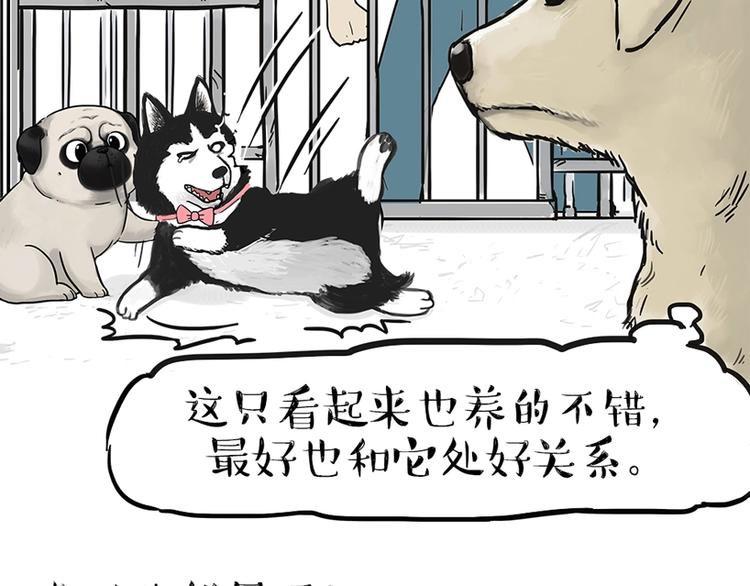 《吾皇巴扎黑》漫画最新章节第198话 你爱世界，但我爱你免费下拉式在线观看章节第【22】张图片