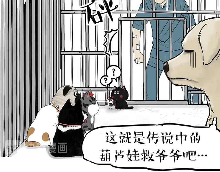 《吾皇巴扎黑》漫画最新章节第198话 你爱世界，但我爱你免费下拉式在线观看章节第【36】张图片