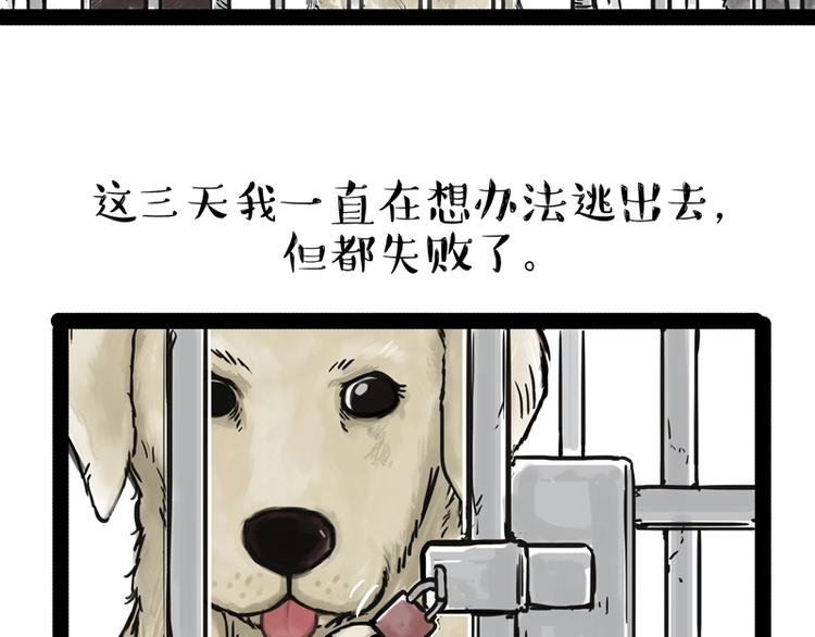 《吾皇巴扎黑》漫画最新章节第198话 你爱世界，但我爱你免费下拉式在线观看章节第【4】张图片