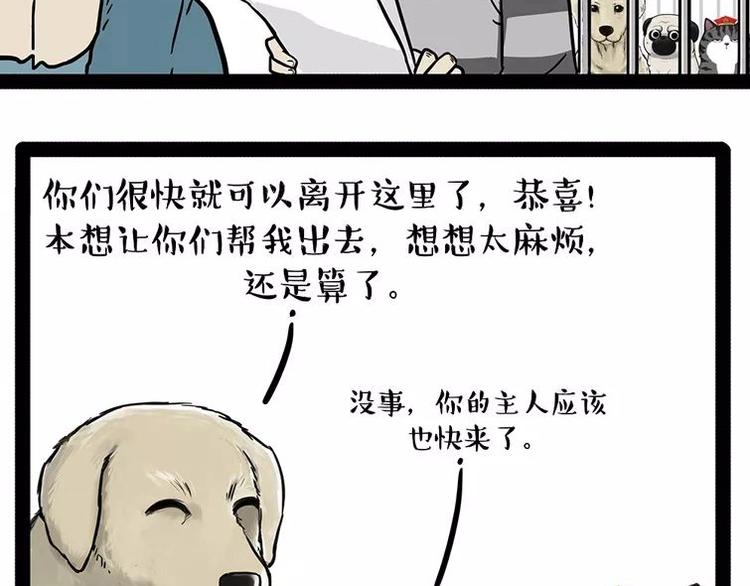 《吾皇巴扎黑》漫画最新章节第198话 你爱世界，但我爱你免费下拉式在线观看章节第【43】张图片