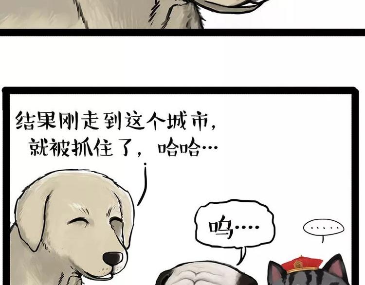 《吾皇巴扎黑》漫画最新章节第198话 你爱世界，但我爱你免费下拉式在线观看章节第【48】张图片