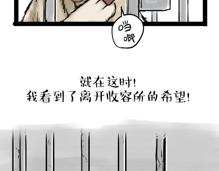 《吾皇巴扎黑》漫画最新章节第198话 你爱世界，但我爱你免费下拉式在线观看章节第【5】张图片