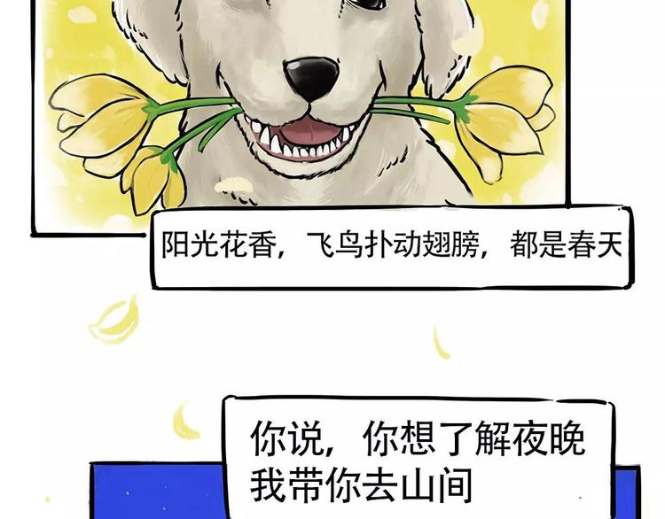 《吾皇巴扎黑》漫画最新章节第198话 你爱世界，但我爱你免费下拉式在线观看章节第【60】张图片