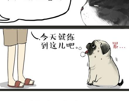 《吾皇巴扎黑》漫画最新章节第21话 巴扎黑不是我亲生的！免费下拉式在线观看章节第【6】张图片