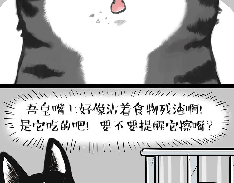 《吾皇巴扎黑》漫画最新章节第202话 谁动了吾皇的猫粮免费下拉式在线观看章节第【11】张图片