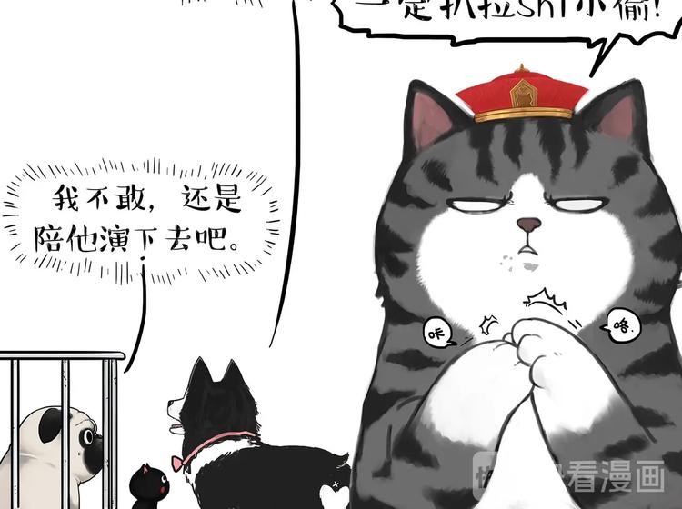 《吾皇巴扎黑》漫画最新章节第202话 谁动了吾皇的猫粮免费下拉式在线观看章节第【13】张图片