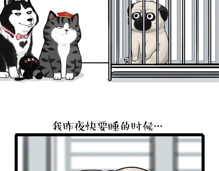 《吾皇巴扎黑》漫画最新章节第202话 谁动了吾皇的猫粮免费下拉式在线观看章节第【15】张图片