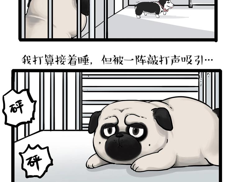 《吾皇巴扎黑》漫画最新章节第202话 谁动了吾皇的猫粮免费下拉式在线观看章节第【18】张图片