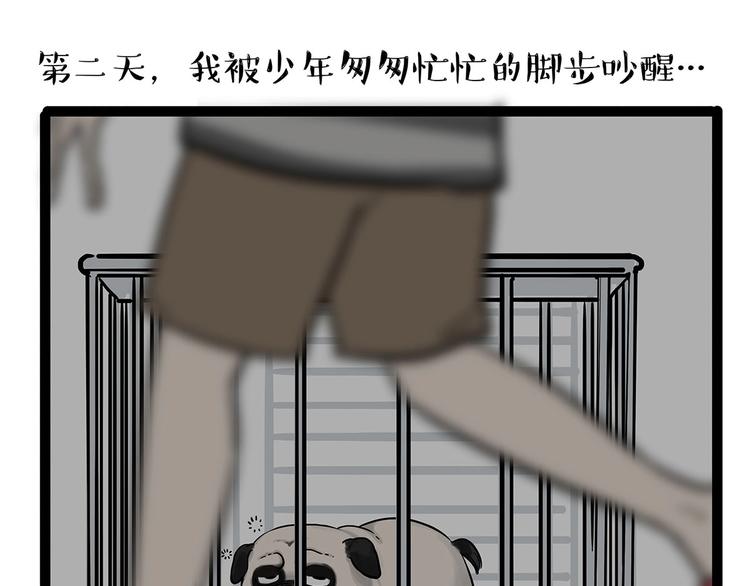 《吾皇巴扎黑》漫画最新章节第202话 谁动了吾皇的猫粮免费下拉式在线观看章节第【22】张图片