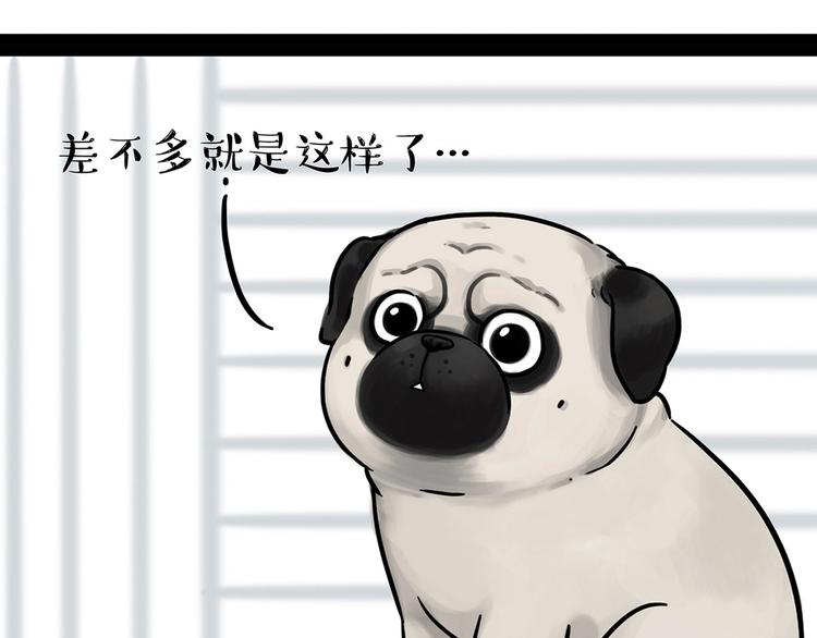 《吾皇巴扎黑》漫画最新章节第202话 谁动了吾皇的猫粮免费下拉式在线观看章节第【25】张图片