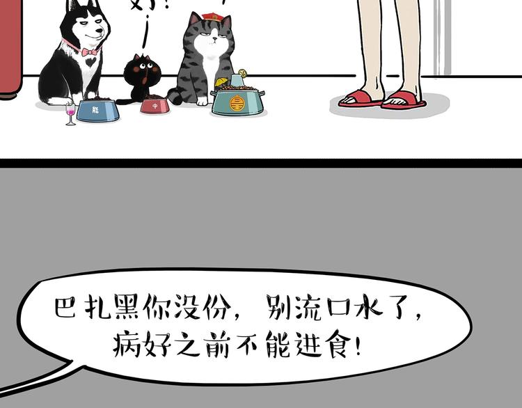 吾皇巴扎黑-第202话 谁动了吾皇的猫粮全彩韩漫标签