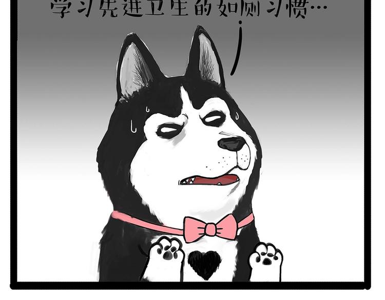 《吾皇巴扎黑》漫画最新章节第202话 谁动了吾皇的猫粮免费下拉式在线观看章节第【35】张图片