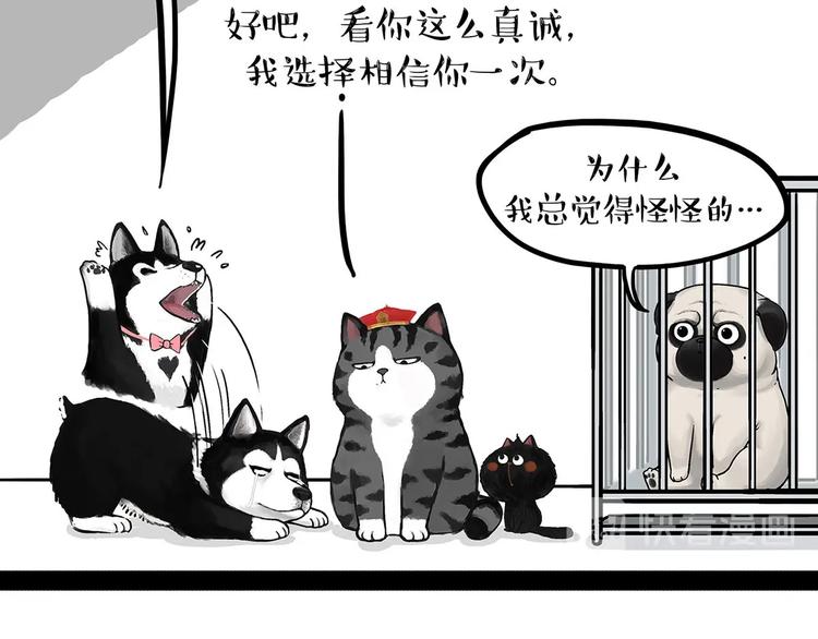 《吾皇巴扎黑》漫画最新章节第202话 谁动了吾皇的猫粮免费下拉式在线观看章节第【38】张图片